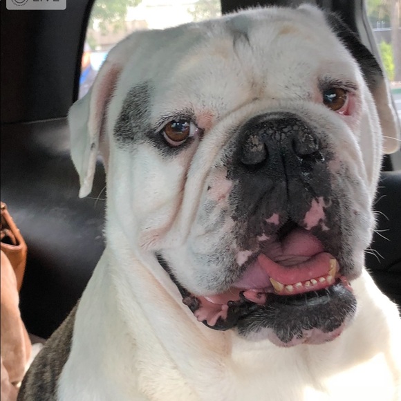 Meet your Posher, Morgahn - Picture 1 of 1